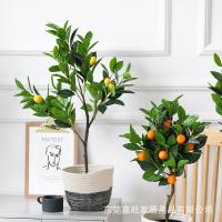 uploads/erp/collection/images/Home Garden/dgjiawang/XU0612796/img_b/XU0612796_img_b_3